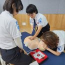 토탈 모델 테크닉 이미지