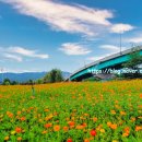 한강시민공원(한강둔치꽃단지) 이미지