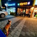 자담치킨화성