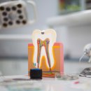 율하선한치과의원 이미지