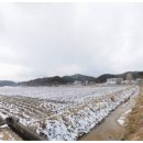 월송축산 이미지