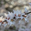 부천종합운동장 이미지