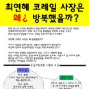 최연혜 코레일 사장은 왜 방북했을까? 이미지