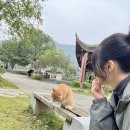 나산 5일시장 내 | [중국] 대학생의 4박 5일 장가계 여행 후기(2) - 황룡 동굴, 천문산, 천문동