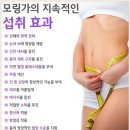 ﻿모링가 분말 차 파는곳 &amp; 모링가잎 파는곳 이미지