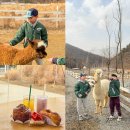 발산목장 | 경기도 가평 설악면 카페 가평 가볼만한곳 아이와 양떼목장 N번째