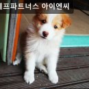 지피에프