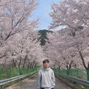 하개명마을회관 네이버블로그