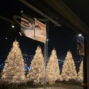 크라운호프 포항양덕점 | 포항 양덕 소디스 카페 후기｜크리스마스 분위기 제대로 나는 곳