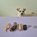 영양언니의 수제간식 이미지