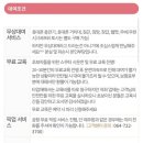 제주시] 제주도 스쿠터 대여 업체 추천, 제주 망고스쿠터 2인용 벤리 110cc 대여 내돈내산 후기_망고스쿠터