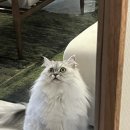 육회한지짐이 본점 이미지