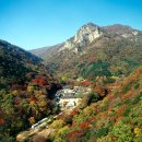 백양사 - 성북구 장월로23길 15-3 | 백양사
