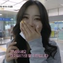명품여행공장 루리웹 뉴스보드