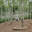 ‘별바라기숲’ 개방·‘달맞이숲’ 통제 이미지