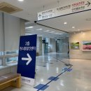 서울대 치과 병원 본원 사랑니 발치 후기 - 두번째 (원스톱협진센터)