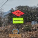 원골힐링캠프 이미지