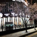 대교풍천민물장어 이미지