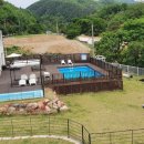 포독스1 이미지