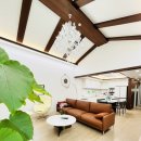 제주에 오길 잘했다 이미지