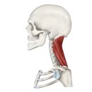 바른우리한의원 이미지