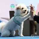 낙성대동-27 이미지