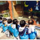 동진유치원 이미지