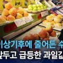 과일값 폭등 / 보고 싶은 유튜브 이미지