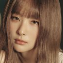 베이지 앤 브라운 이미지