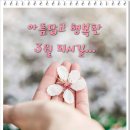 개나리문구 이미지