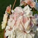 밝은미소스토어 이미지