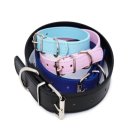 애완상회 이미지