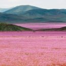 꽃밭교회 이미지