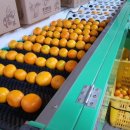 온주농장 이미지