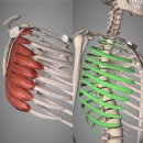 BODY愛(바디애) 이미지