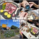 돌담하우스 | 제주도 게스트하우스 공항 1시간 제주 동쪽 돌담 숙소 혼자도 좋아