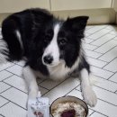 희석목장 이미지