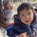 호기농장 이미지