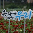 바른정보 이미지