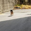 구룡성 이미지
