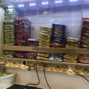 셀프 태양광발전소 이미지