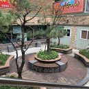 에이스테크 | 금천구맛집 저렴하고 푸짐한 더푸드스케치~!