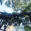 삼랑진팽나무펜션 이미지