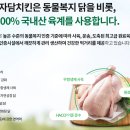 치킨땡긴닭
