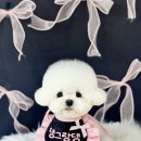 댕그랑댕