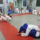 용인대 대한 유도체육관 이미지