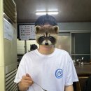 다희식당 이미지