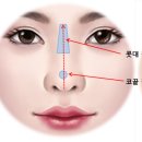 엄지연합의원 이미지