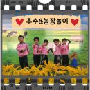 큰빛농장 이미지