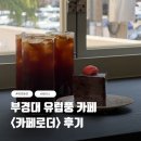 카페로더 - 금정구 범어천로52번길 38 | [부산/대연] 부경대 유럽풍 카페 <카페로더> 내돈내산 후기/애견동반/서이추 환영